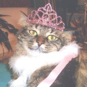 Meet your Posher, Renee'